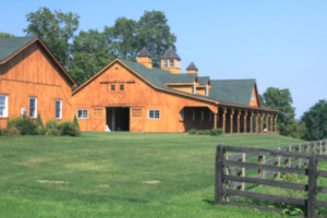 cheeseKnife BG - marketingmedia