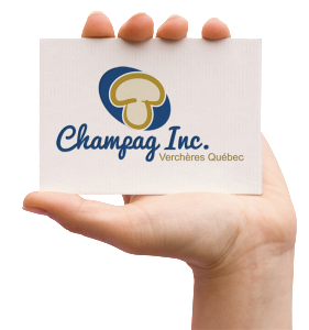 champaginc2 - marketingmedia