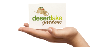 desertlake1 - marketingmedia