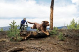 back eukanuba - marketingmedia